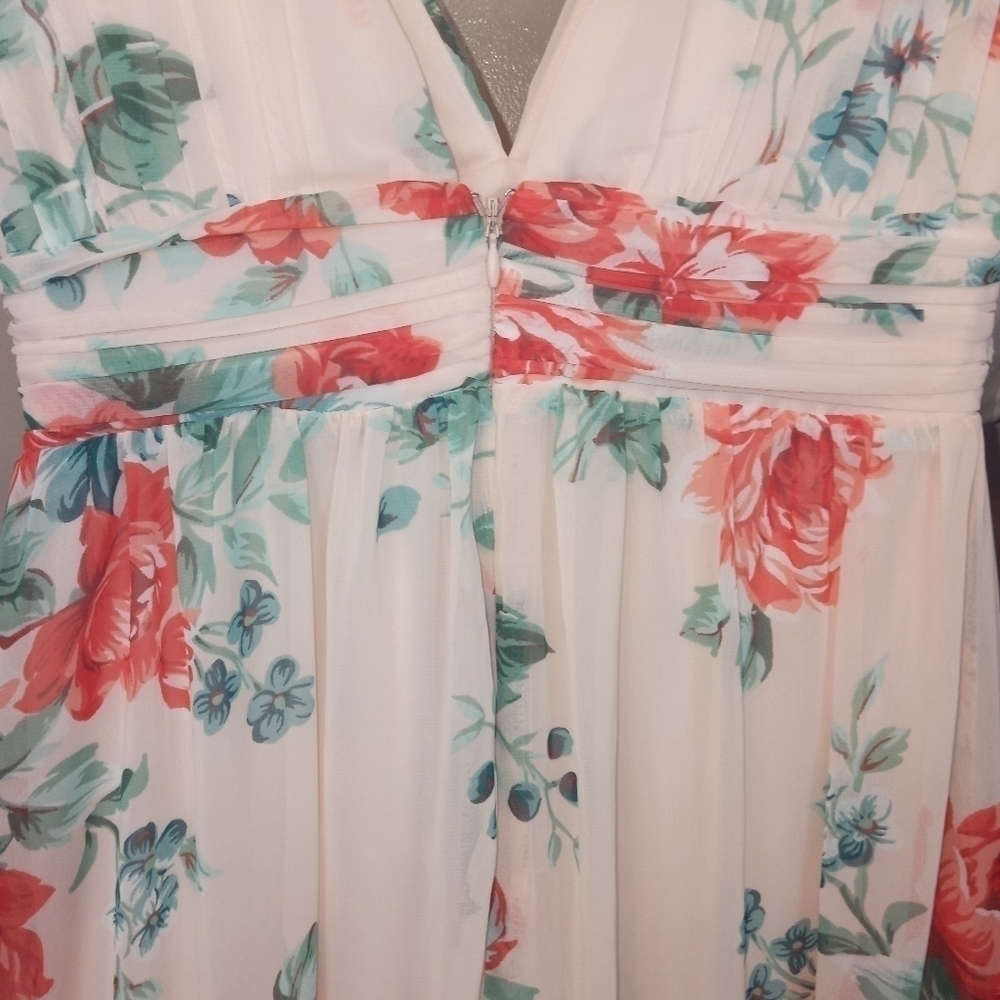 Lulu's Garden Meandering Floral Chiffon Sleeveless Maxi Dress Blush Size Small - Picture 11 of 14